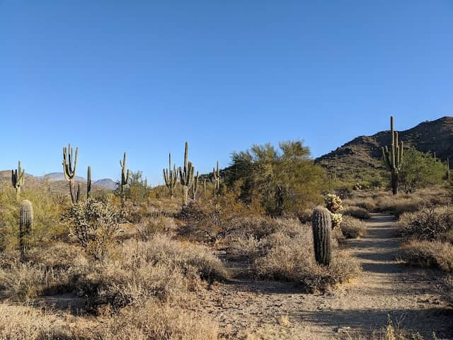 P. A. Seitts Preserve - Image 1