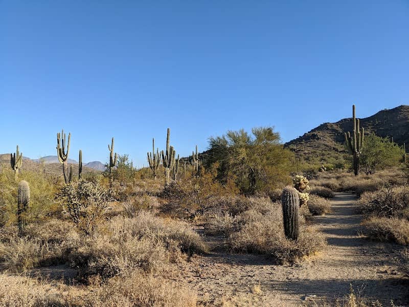 P. A. Seitts Preserve - Image 1