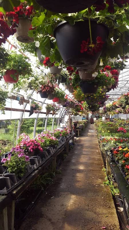 The Greenery - Image 1
