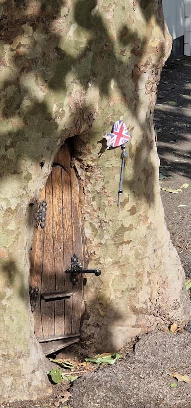 Old tree - Image 1