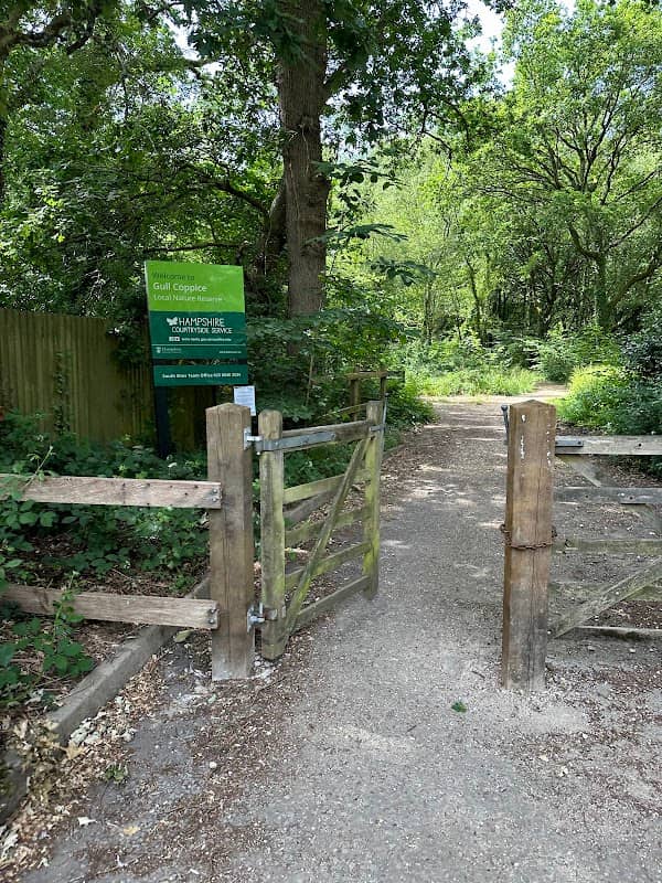 Gull Coppice - Image 1