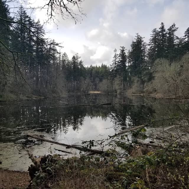 Lake Lois Habitat Reserve - Image 1