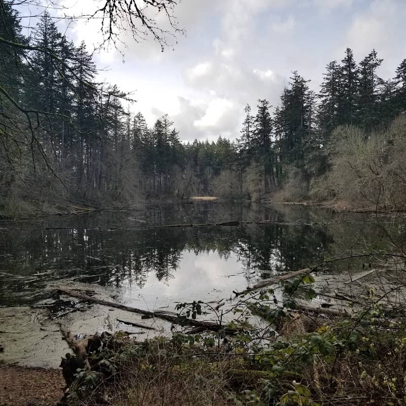 Lake Lois Habitat Reserve - Image 1