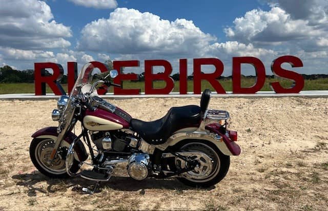 Ricebird Sign - Image 1