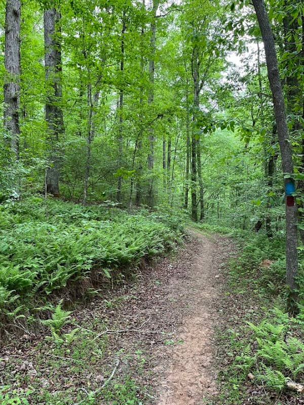 Red Trail Parking - Image 1