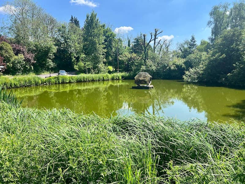 Crawley Duck Pond & Duck Hotel - Image 1