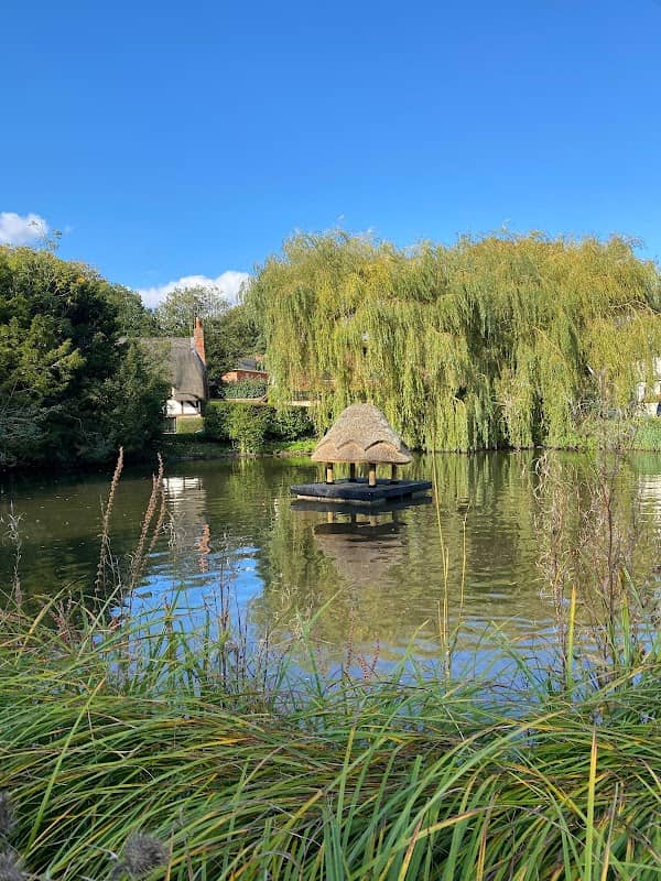 Crawley Duck Pond & Duck Hotel - Image 2