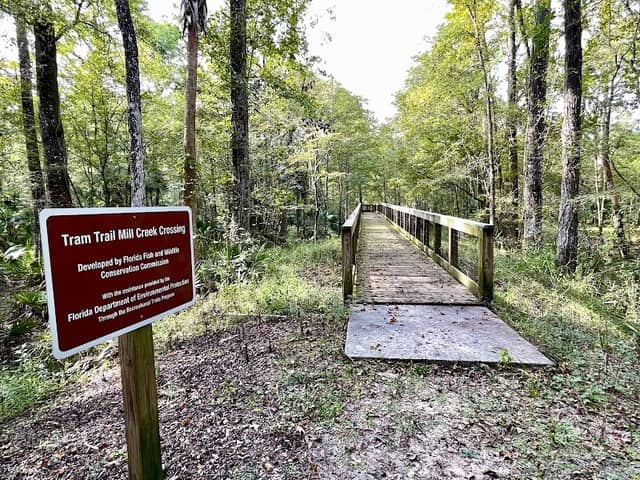 Tram Trail Mill Creek Crossing - Image 1
