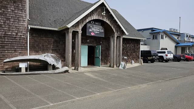Charleston Marine Life Center - Image 2