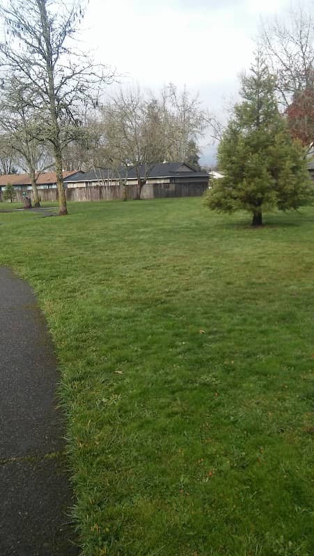 Bluebelle Park - Image 2
