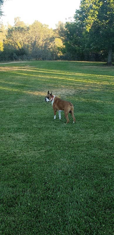 Levy Park - Image 1