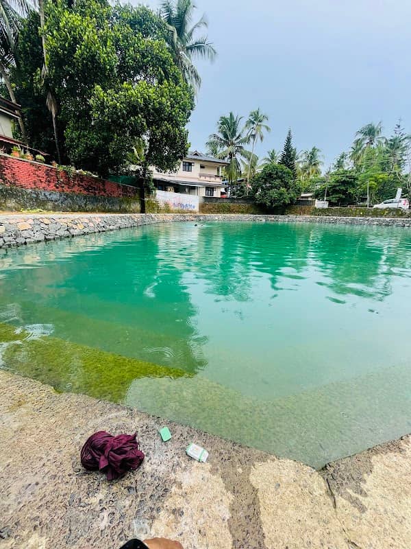 Atteeri pond - Image 1