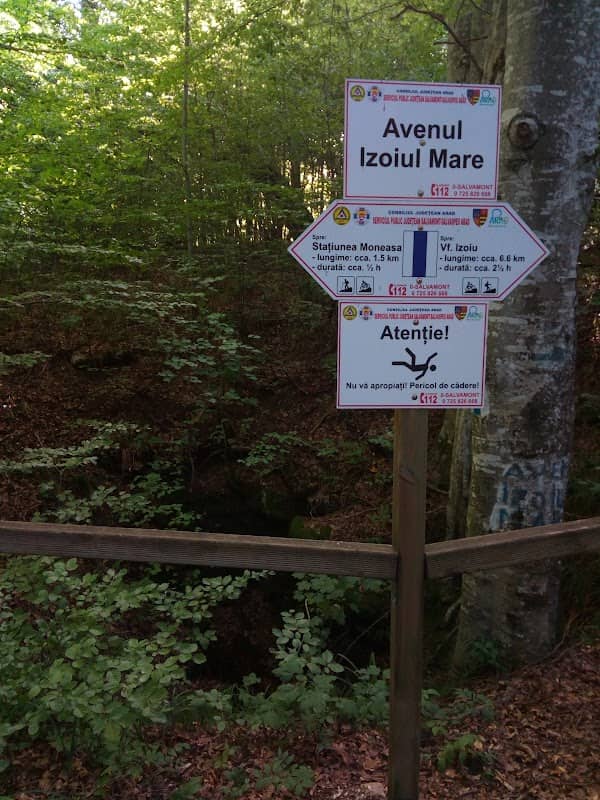 Avenul Izoiul Mare - Image 1