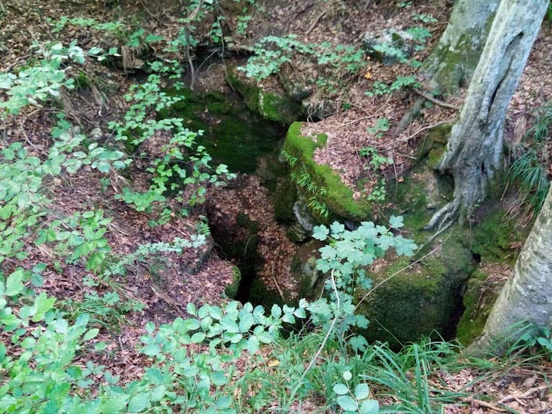 Avenul Izoiul Mare - Image 2