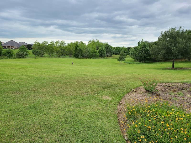 Cross Creek Ranch Butterfly Garden - Image 1