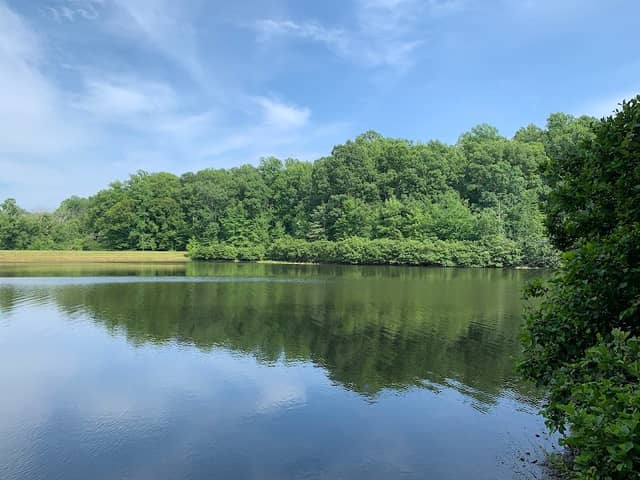 Powhatan Management Area - Image 1