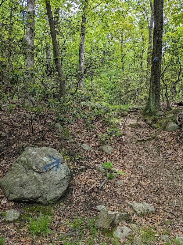 Blue trailhead and Green trail intersection - Image 1