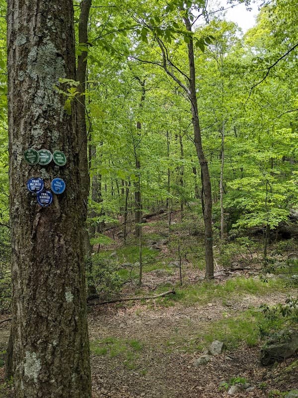 Blue trailhead and Green trail intersection - Image 2