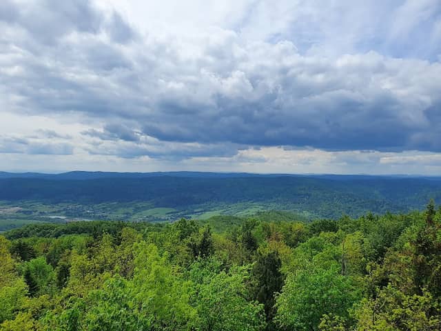 Góra Cergowa Lookout tower - Image 2