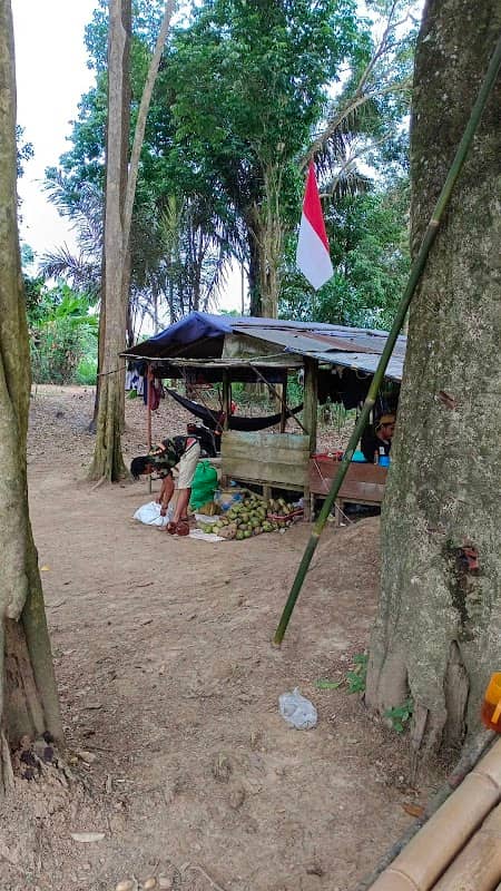 Kebun durian dan buah buahan lain nya - Image 1