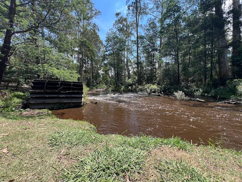 The Noojee Waterwheel - Image 1