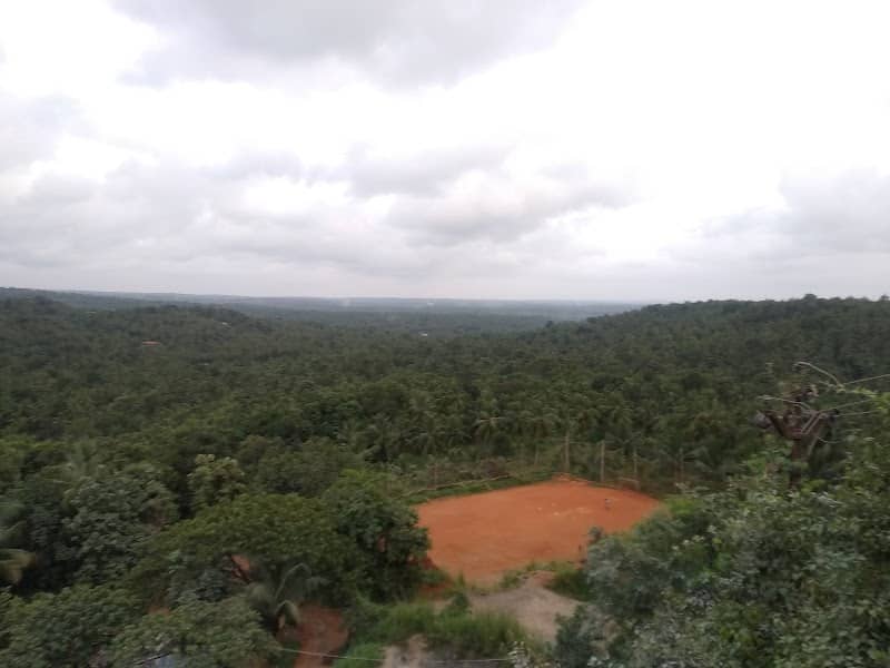 P.C Kunnu/പി. സി കുന്ന് - Image 1