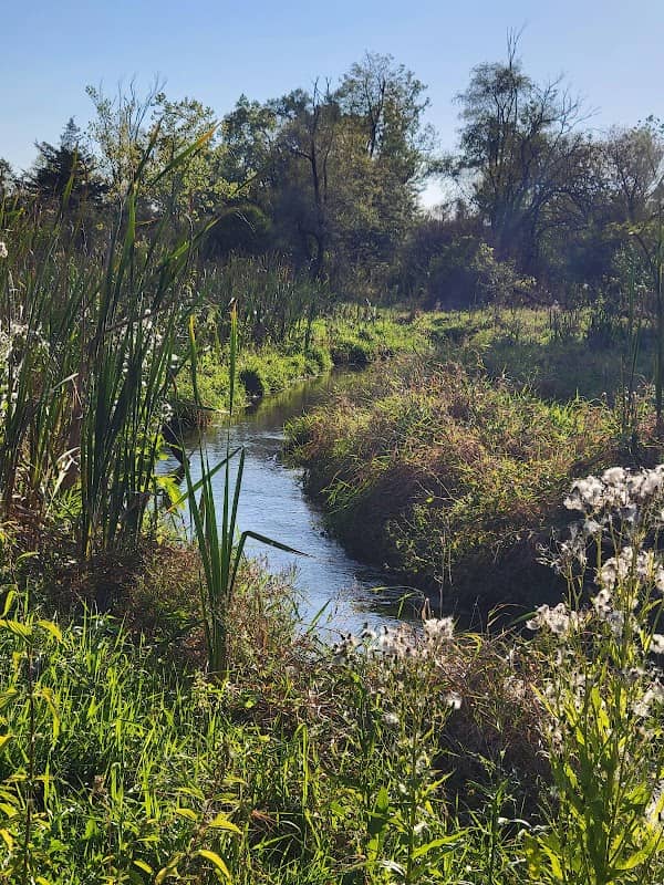 Hebble Creek Reserve - Image 2