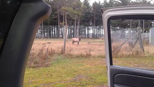 Chapman Elk Park - Image 1