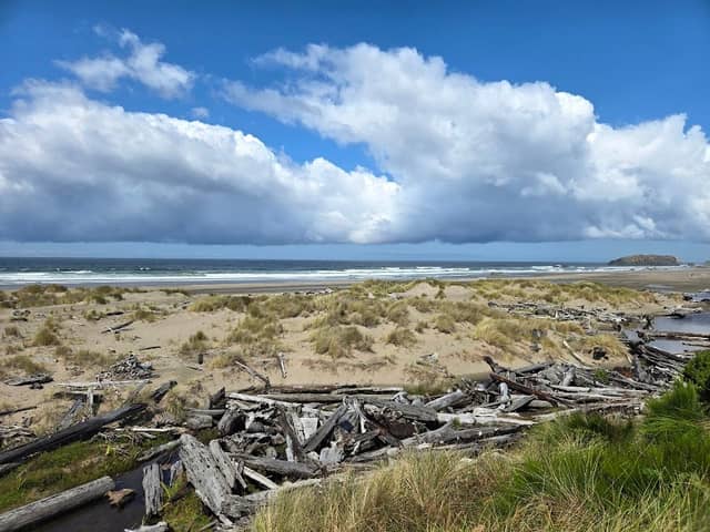 China Creek Beach access - Image 1