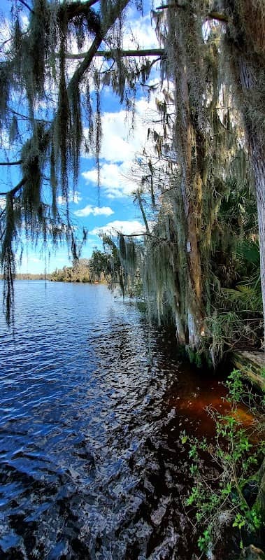 Murphy Creek Conservation Area - Image 2