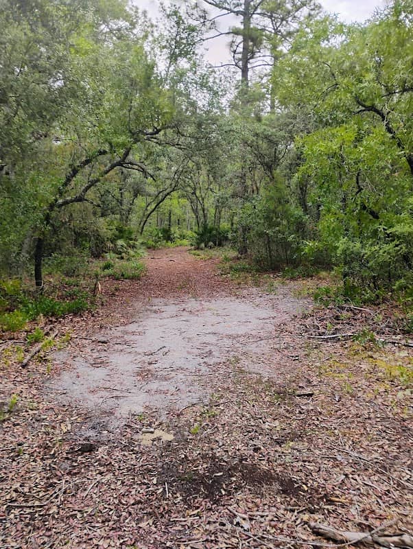 Murphy Creek Conservation Area - Image 1