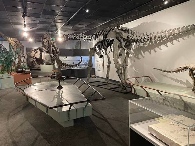 BYU Museum of Paleontology - Image 1