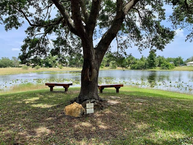 Garden Club Park - Image 2