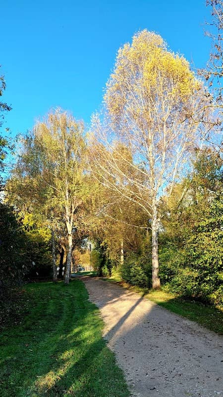 Grünzug -Allee Baum des Jahres - Image 1