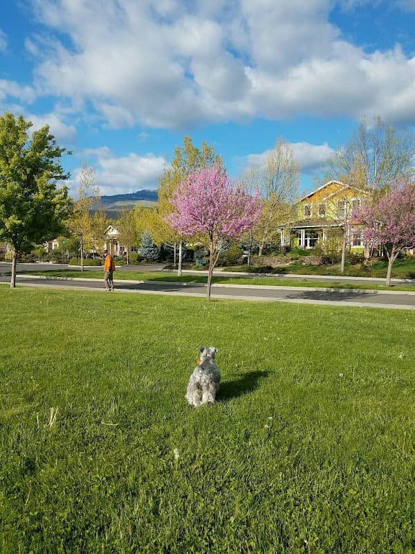 Riverwalk Park - Image 1