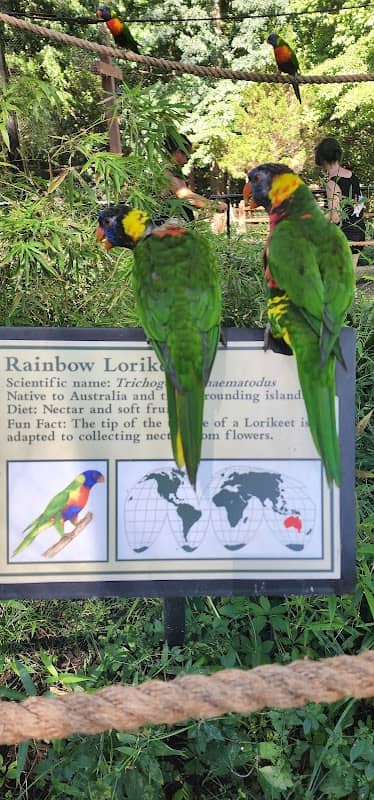 Lorikeet Glen - Image 1