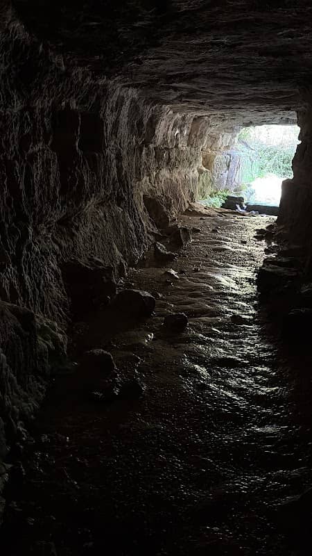 Grotta - Image 1