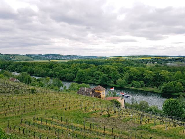 Beerhüterturm - Image 1