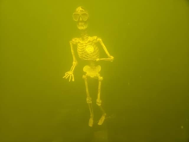 Lime lake - Image 2