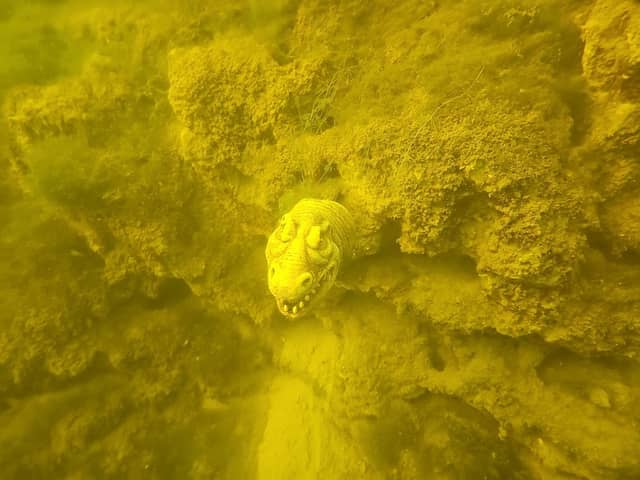 Lime lake - Image 3
