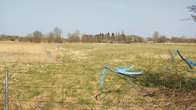 Blue Stork Art Installation - Image 1