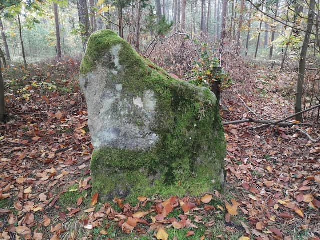Hundestein - Image 2