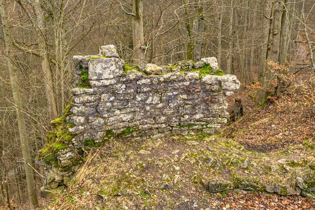 Ruine Habichtsburg - Image 2