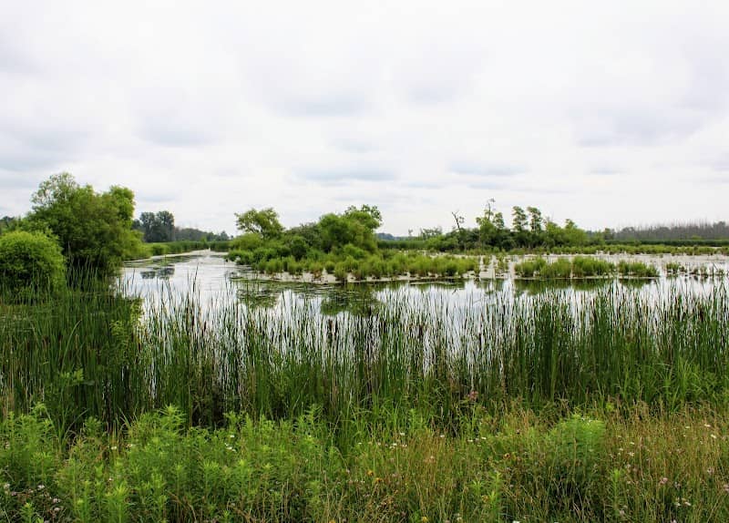Tonawanda Wildlife Management Area - Image 1