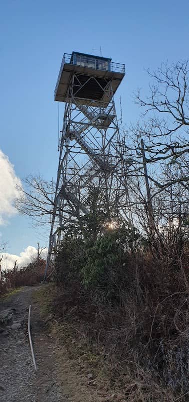 Fryingpan Mountain Lookout Tower - Image 2
