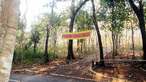 PESAREAN GUNUNG BAGUS - Image 1