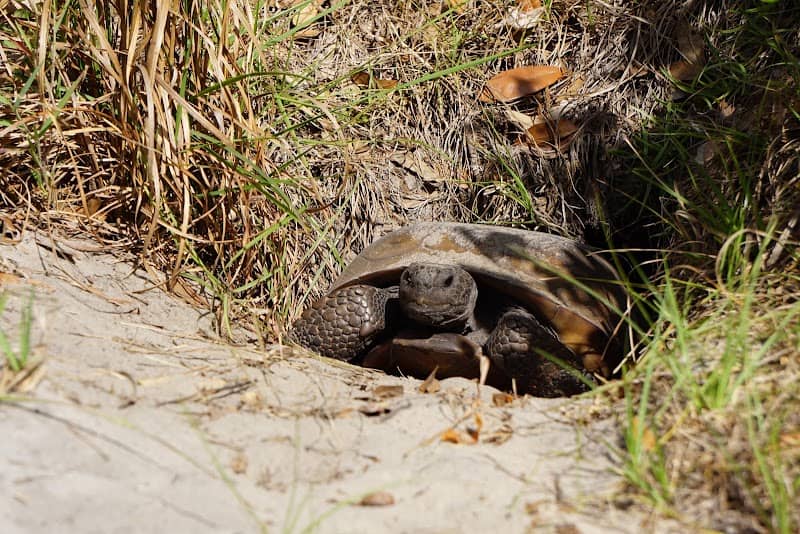 Hidden Waters Preserve - Image 1