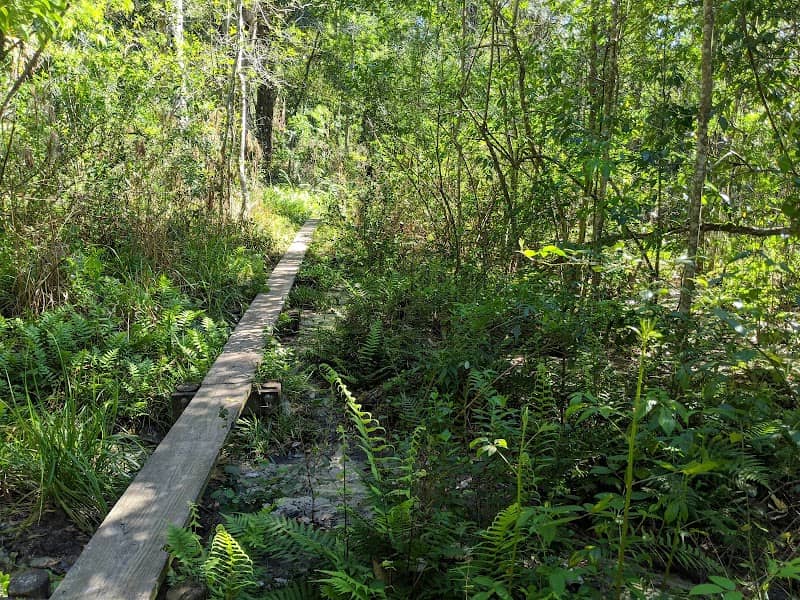 Hidden Waters Preserve - Image 2