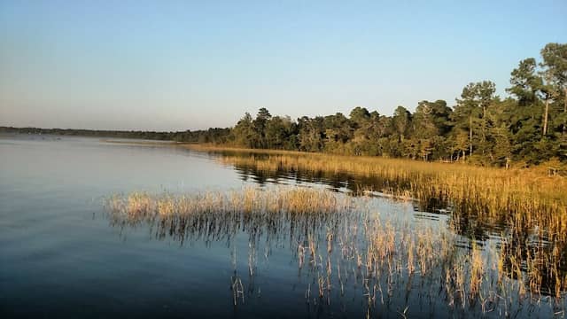 Lake Waccamaw State Park - Image 1