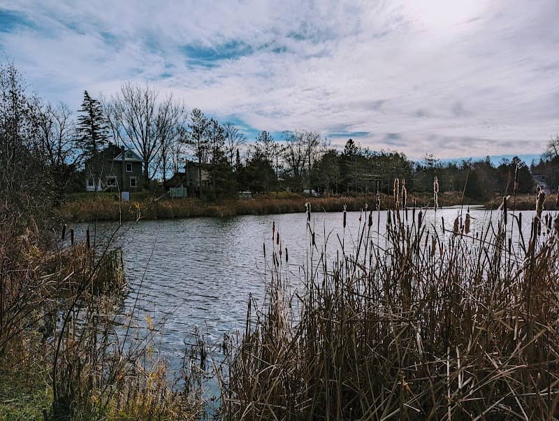 Alton Pond Park - Image 2